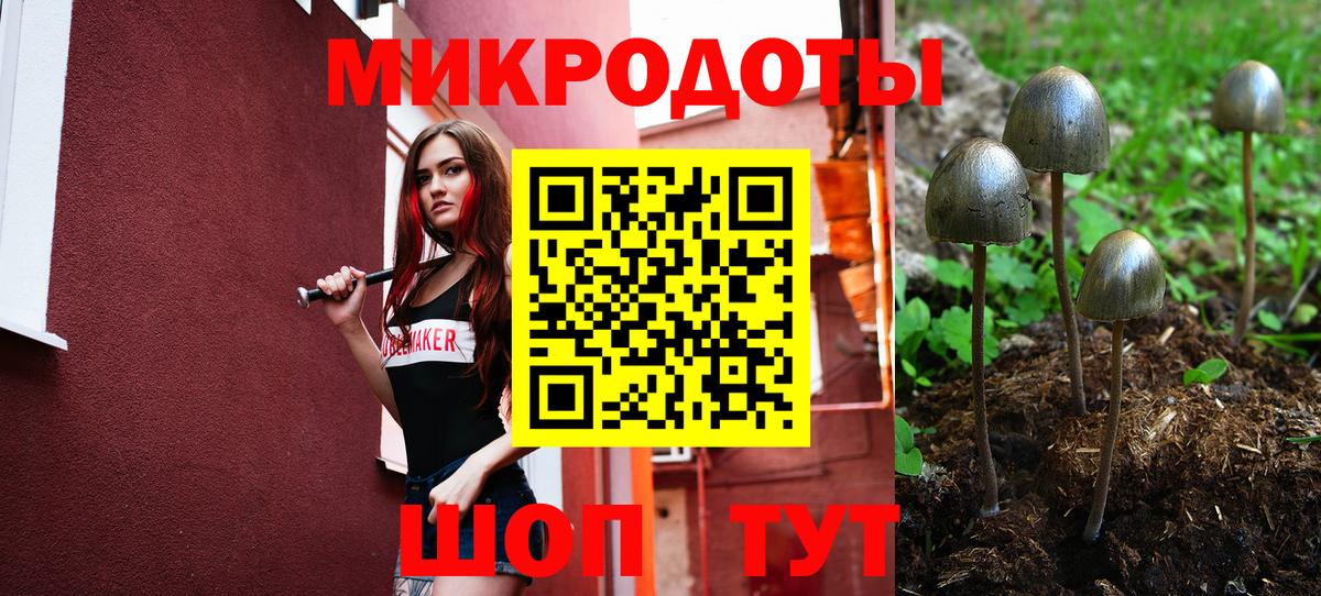 Галлюциногенные грибы мухоморы  Вход с VPN  купить наркотик  Мыски 