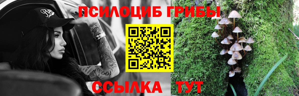 COCAIN  Канабис  Вход с VPN  МЕФ   Где найти наркотики?  Мыски  ГАШИШ  ГАШ 