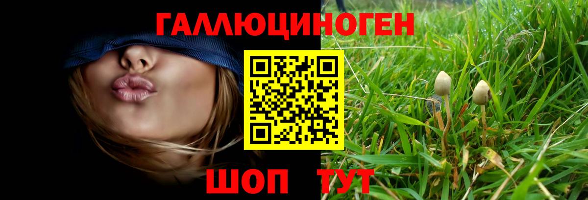 Галлюциногенные грибы MAGIC MUSHROOMS Мыски